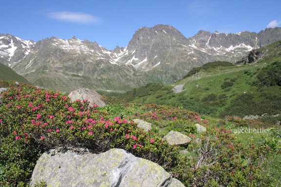 Silvretta Hochalpenstraße